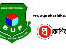 বিইউপি bup