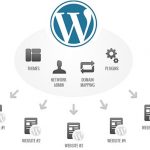 Web Hosting