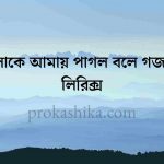 লোকে আমায় পাগল বলে গজল লিরিক্স