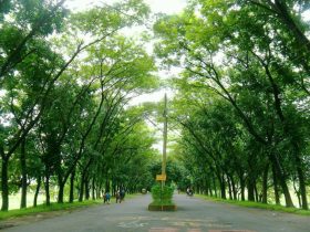 shahjalal university of science and technology