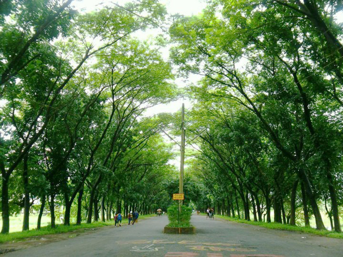 shahjalal university of science and technology