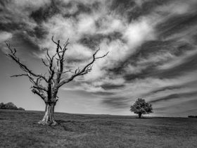 মৃত্যু নিয়ে উক্তি | Quotes on Death