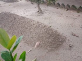 কবর কবিতা - জসীম উদ্দিন