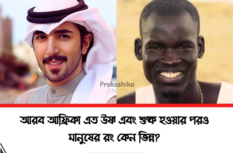 আরব আফ্রিকা এত উষ্ণ এবং শুষ্ক হওয়ার পরও মানুষের রং কেন ভিন্ন?